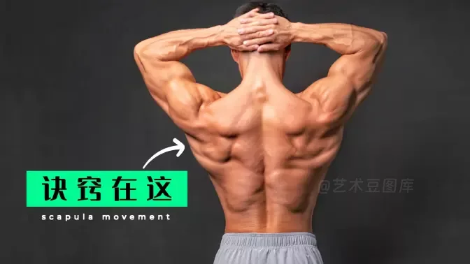 视频：90%人不知道，加入这个技巧，背肌突飞猛进